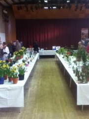 It was so quaint and sweet with a flower and veg competition and  a very delicious cake contest.